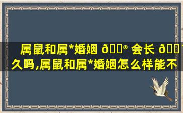 属鼠和属*
婚姻 💮 会长 🌴 久吗,属鼠和属*
婚姻怎么样能不能到老